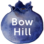 Bow Hill Blueberries